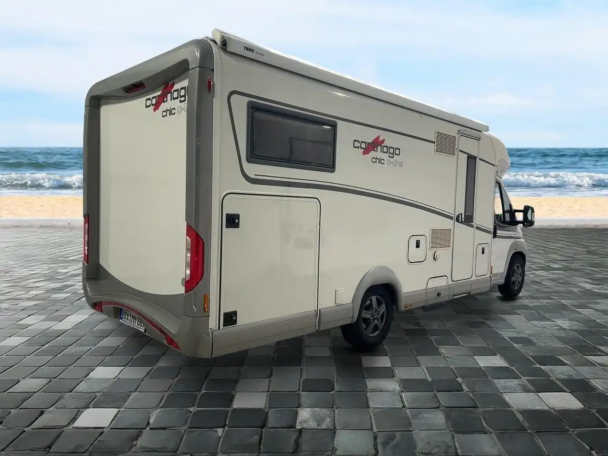 CARTHAGO Chic C-Line T 4.8 - Ansicht 4